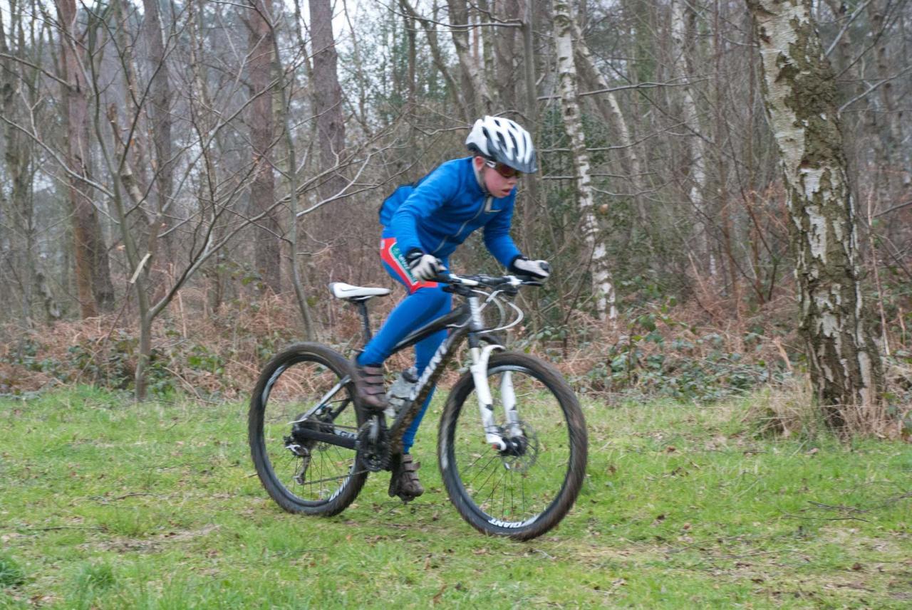 vtt mars201328