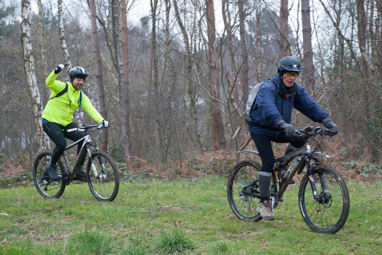 vtt mars201329